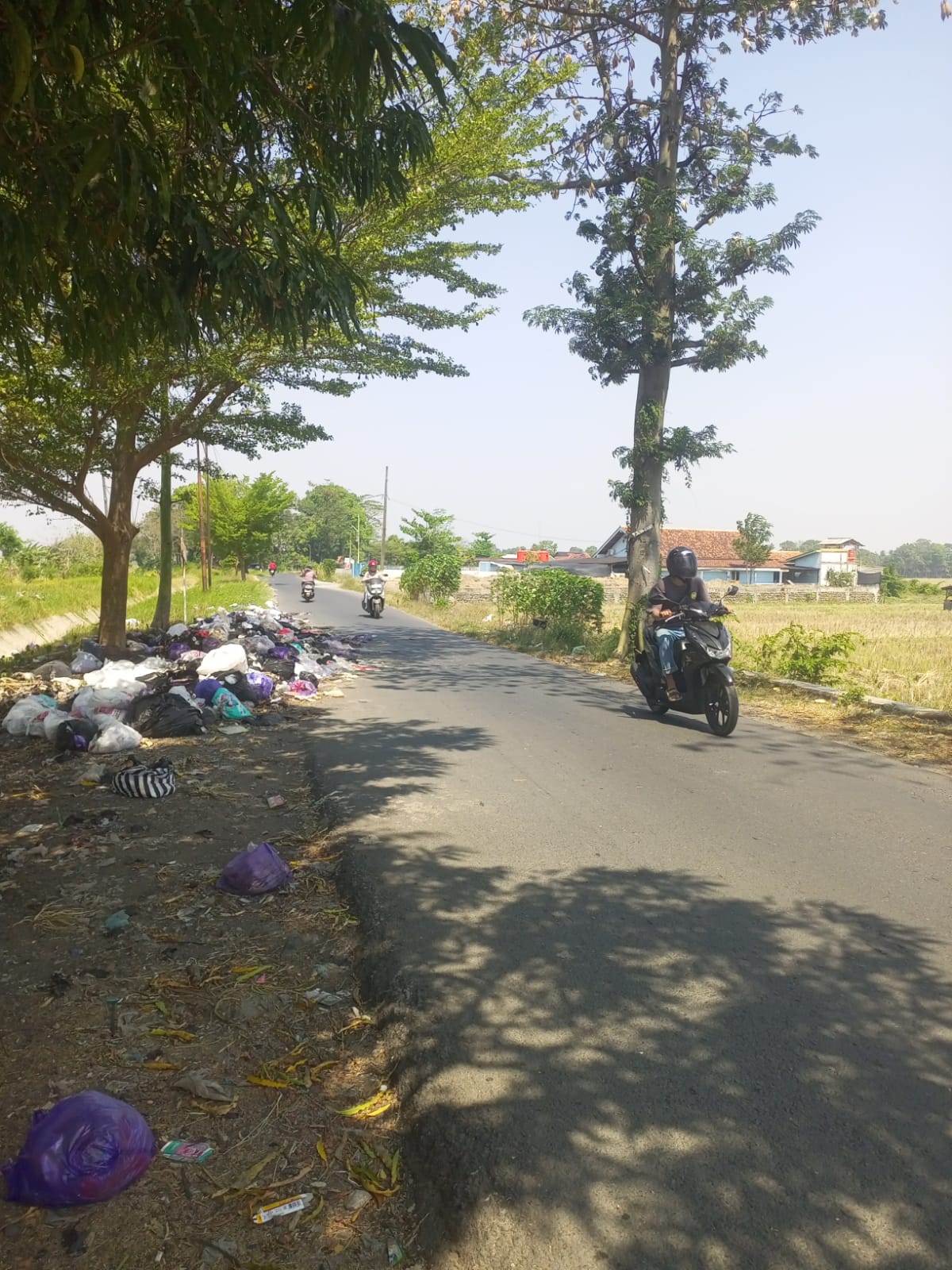 Sampah Berserakan di Pinggir Jalan Raya Pamutih, Kolaborasi Masyarakat dan Pemda Diperlukan 6 IMG 20260913 WA0041