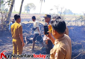 Bakar Rumput, Warga Lampura Tewas Terjebak Api