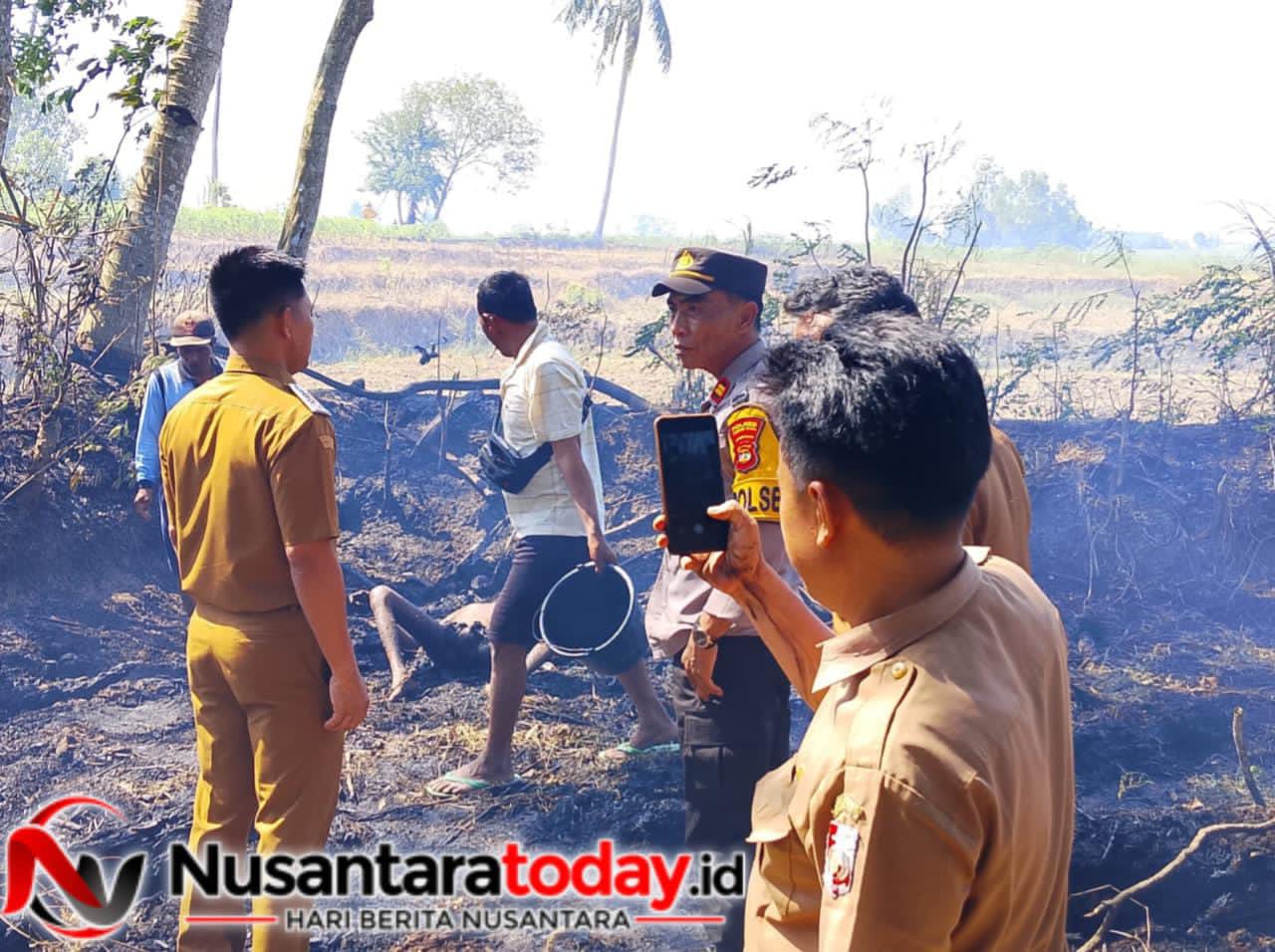 Bakar Rumput, Warga Lampura Tewas Terjebak Api 6 IMG 20260914 WA0018