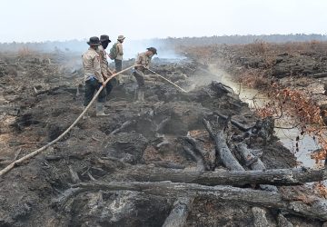 Operasi X-Fire Tuntaskan Pemadaman Karhutla di Lahan Gambut Teluk Limau