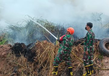 Babinsa dan Water Tank Kodim 0418 Bergerak, Kebakaran Lahan 0,5 Hektare di Karya Jaya Berhasil Dipadamkan
