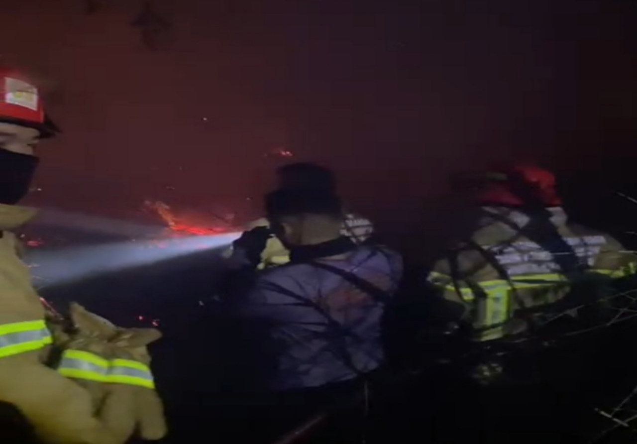 Lahan Seluas 800 Meter Persegi di Sematang Borang Terbakar, Seorang Personel Damkar Pos Sako Terluka 6 IMG 20260903 101235