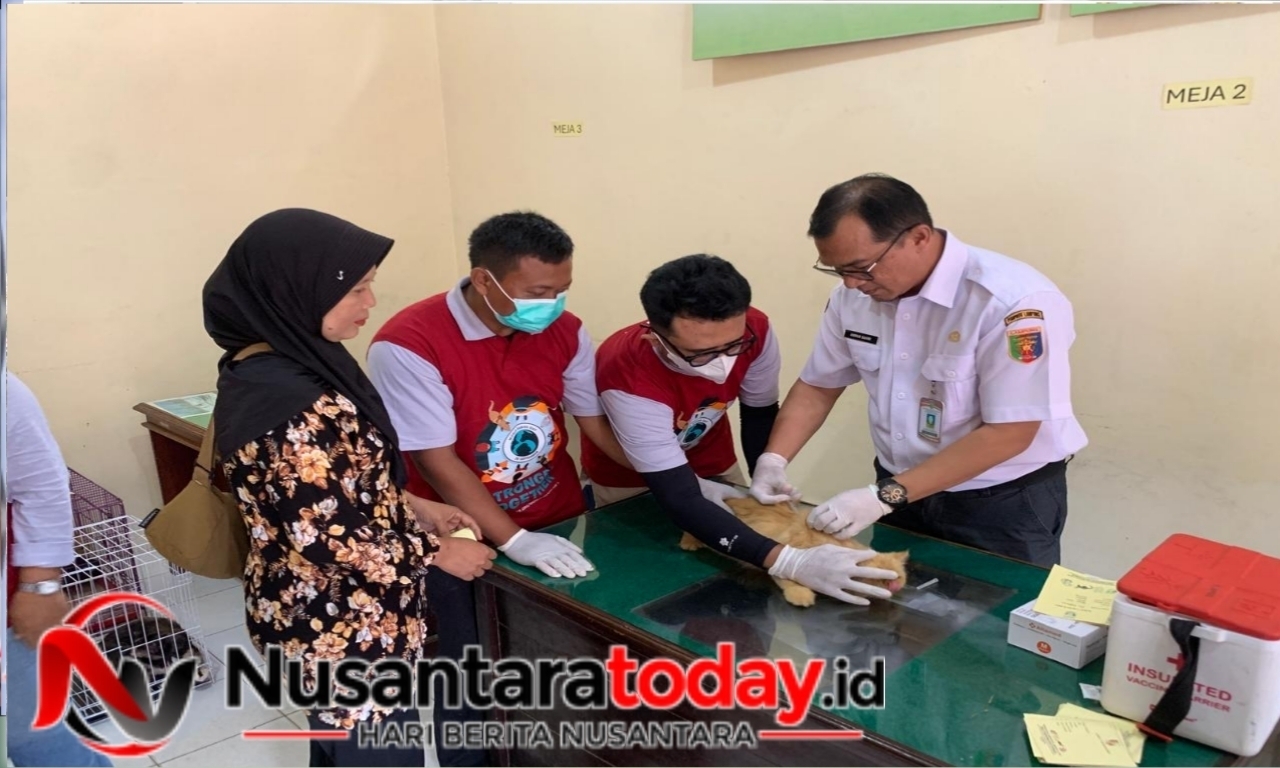 Peringati Bulan Rabies, 150 Hewan di Lampura Divaksin Gratis 6 IMG 20260923 175817