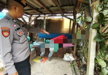 Geger Aroma Menyengat di Jalan Residen Abdul Rozak Palembang, Jasad Pria Tanpa Identitas Ditemukan Membusuk di Depot Bunga