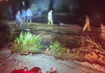 Lahan 4 Hektar di Sematang Borang Palembang Terbakar, Penyebab Diduga Akibat Kelalaian