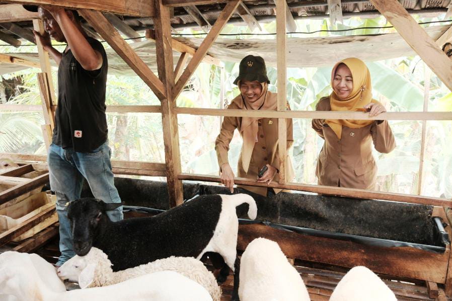 Distanparik Pemalang Turun ke Desa Longkeyang, Puluhan Ternak Dapat Layanan Kesehatan 6 IMG 20261014 WA0074