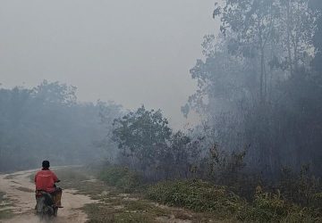 Api Meluas Ancam Pemukiman, Warga Sekayu Keluhkan Respon Pemerintah