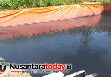 Diduga Cemari Lingkungan, Polda Lampung Didesak Selidiki PT SNEI 7 Diduga Cemari Lingkungan, Polda Lampung Didesak Selidiki PT SNEI
