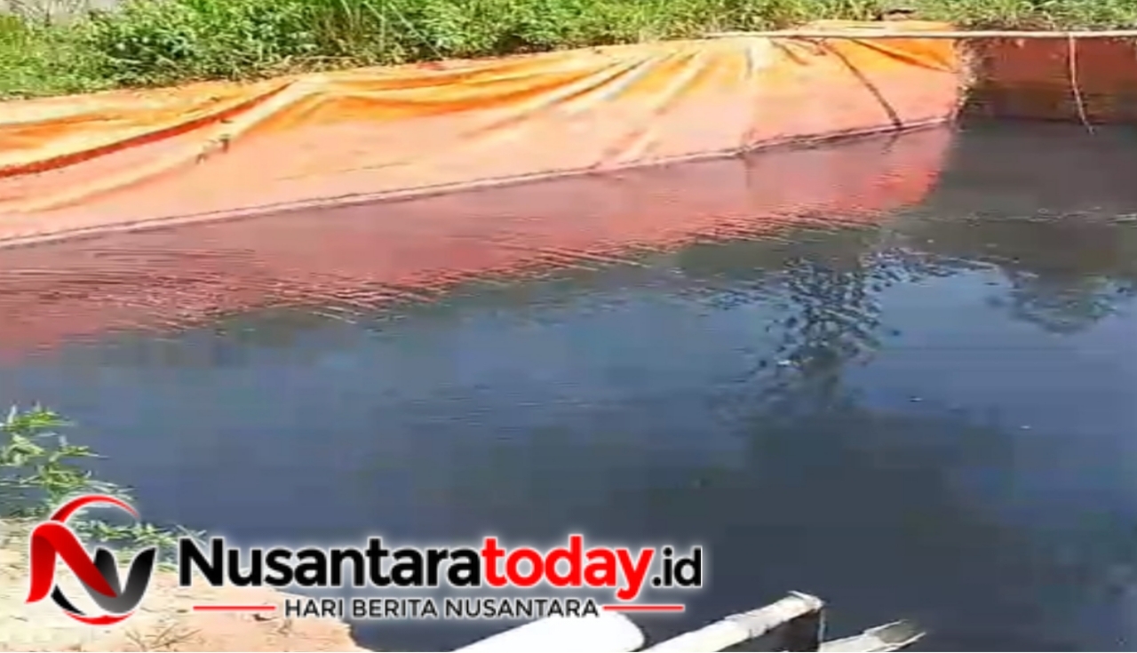 Diduga Cemari Lingkungan, Polda Lampung Didesak Selidiki PT SNEI 6 IMG 20261013 194044