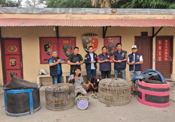 Polsek Plaju Gerebek Arena Judi Sabung Ayam di Darurahma, Dua Orang Diringkus